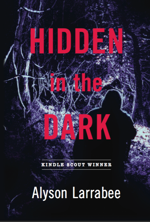 Hidden in the Dark print cover front